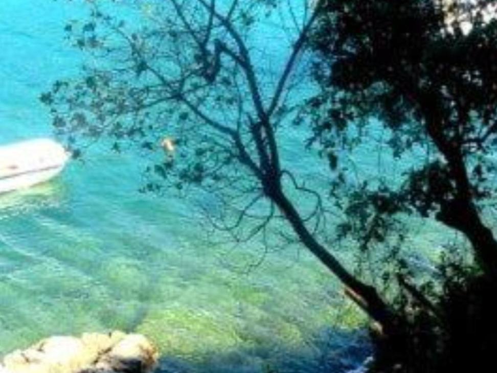 Old Istrian House,Free Parking Apartment Galizana Luaran gambar
